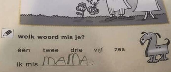 Over minder of net meer welbevinden? Ludo Heylen Tweemonds